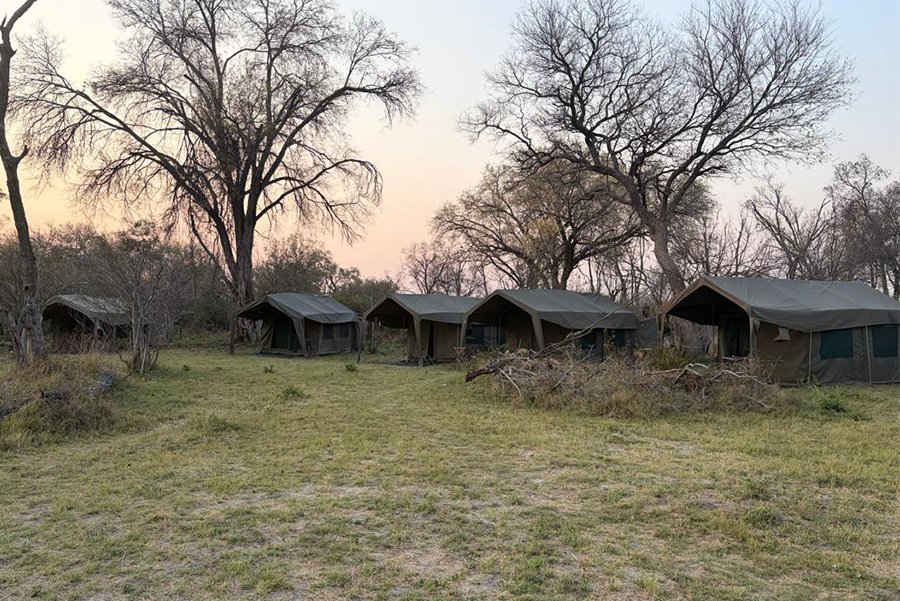 Mobile safari camp
