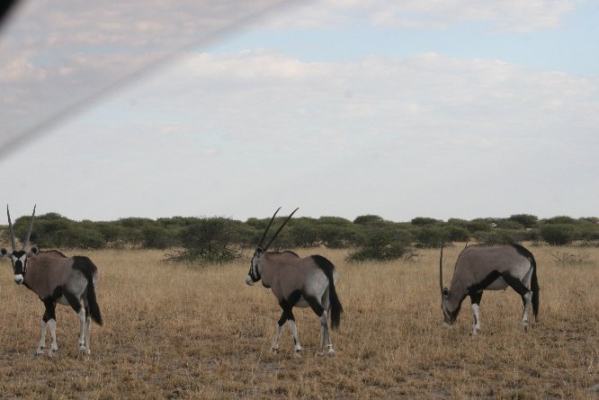 Cultural village visit in Botswana