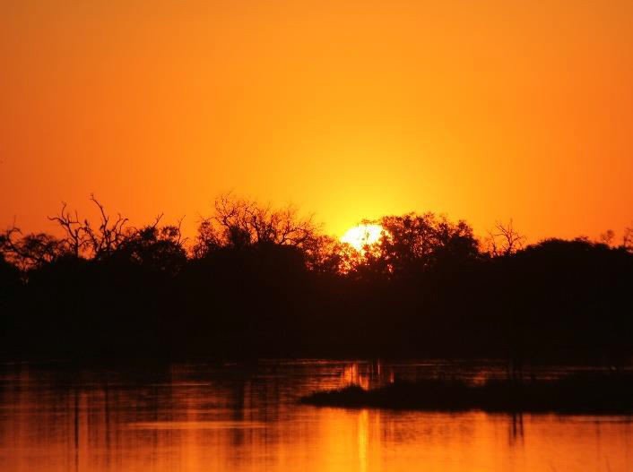 Guided nature walk in the bush